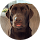 google avatar Rianne